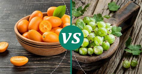 gooseberry vs kumquat